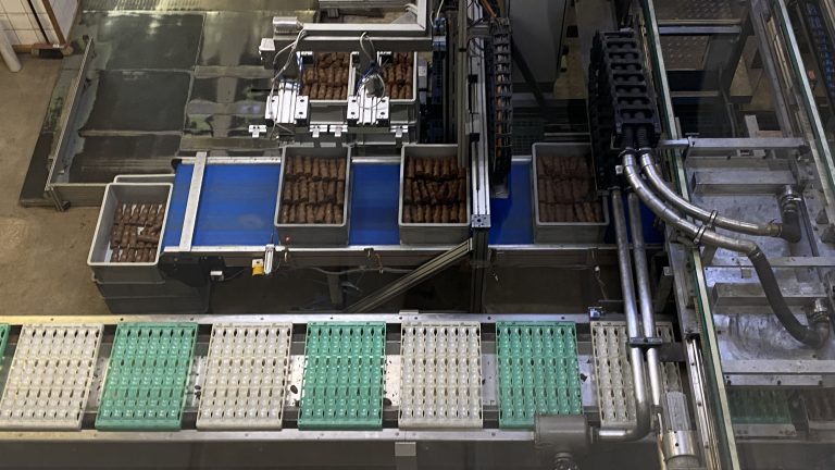 S turistickým krúžkom z Kittsee do Rusoviec, Jarovská bažantnica