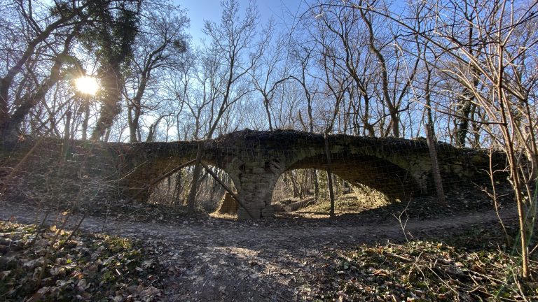 S turistickým krúžkom z Kittsee do Rusoviec, Jarovská bažantnica