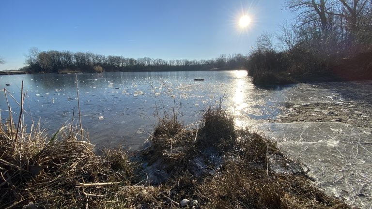 S turistickým krúžkom z Kittsee do Rusoviec, Jarovská bažantnica