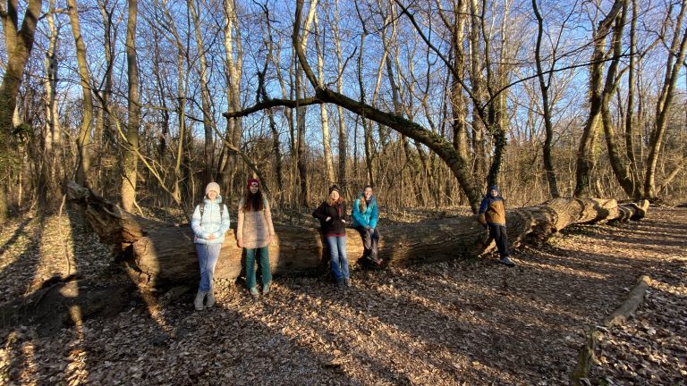 S turistickým krúžkom z Kittsee do Rusoviec, Jarovská bažantnica