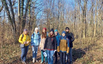 S turistickým krúžkom z Kittsee do Rusoviec, Jarovská bažantnica
