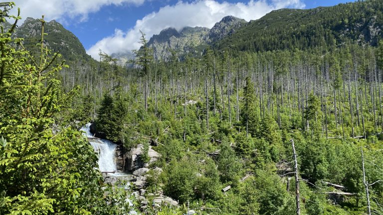 S turistickým krúžkom vo Vysokých Tatrách