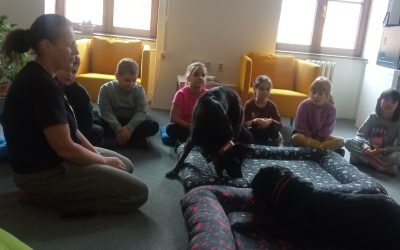 Čítanie psíkom v mestskej knižnici