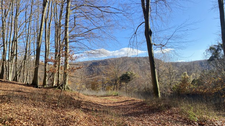 S turistickým krúžkom z Rače na hrad Pajštún