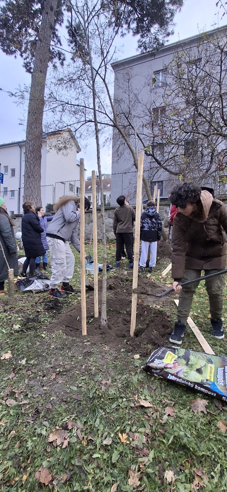 Zasaď strom – Plant a Tree