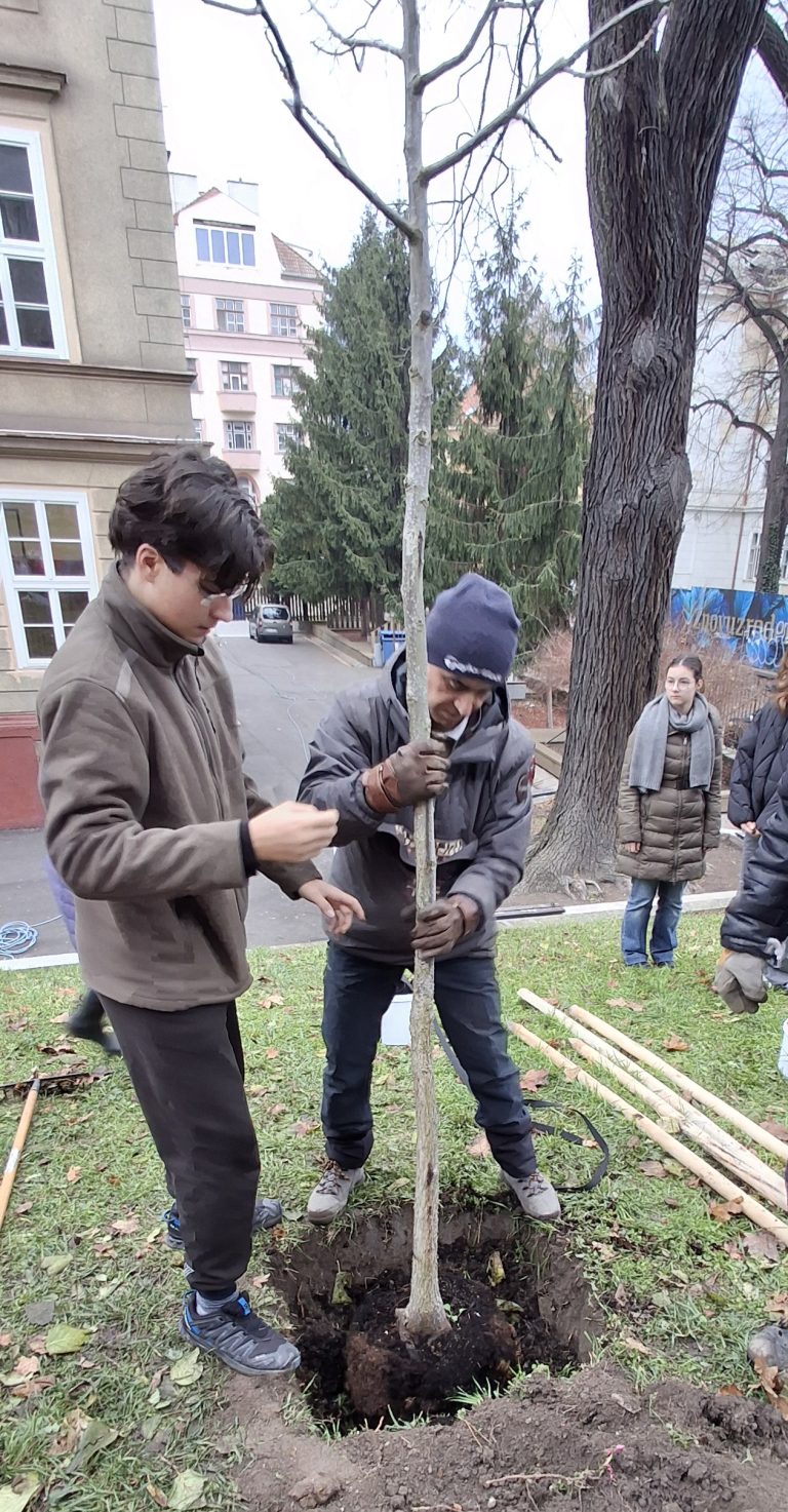 Zasaď strom – Plant a Tree