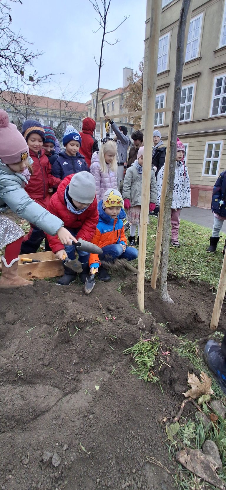 Zasaď strom – Plant a Tree