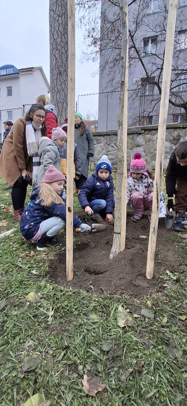 Zasaď strom – Plant a Tree