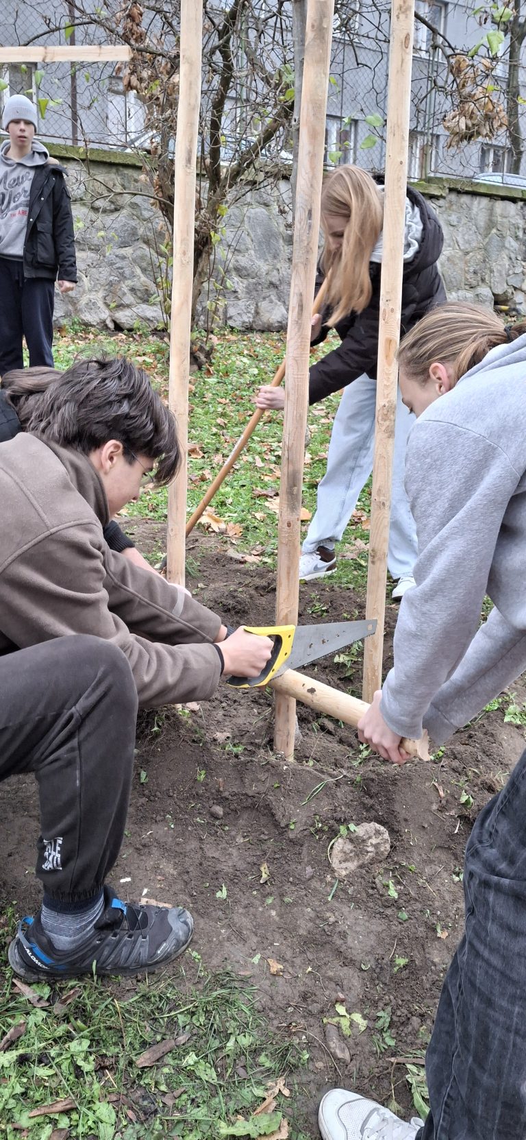 Zasaď strom – Plant a Tree