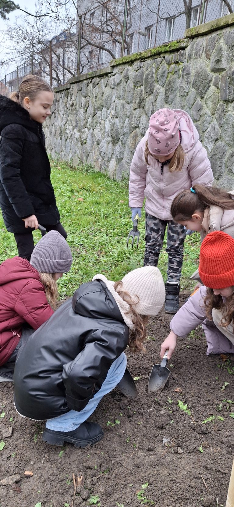 Zasaď strom – Plant a Tree