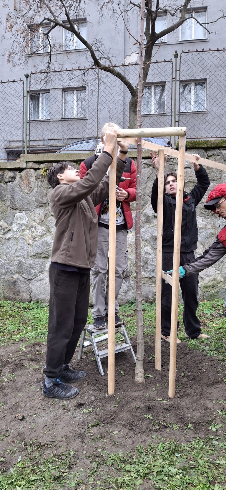 Zasaď strom – Plant a Tree