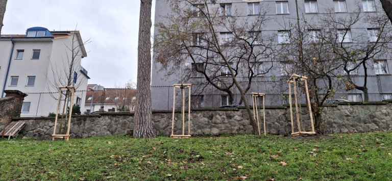 Zasaď strom – Plant a Tree