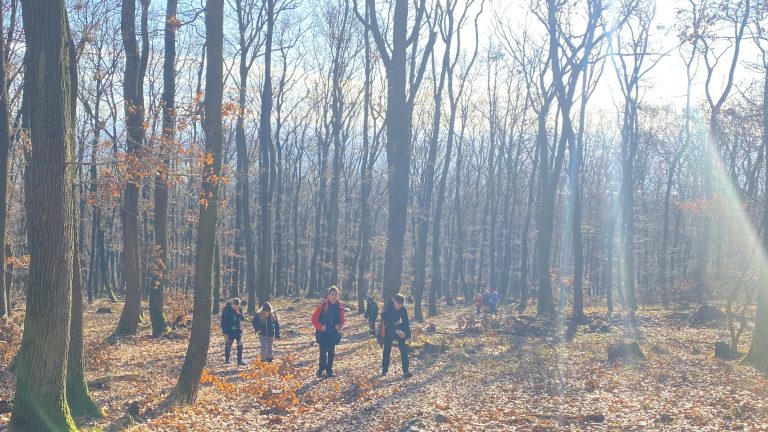 S turistickým krúžkom na Zobor a do Nitry. Vianočné mestečko