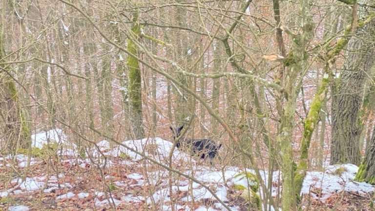 S turistickým krúžkom z Trenčianskych Teplíc do Trenčianskej Teplej