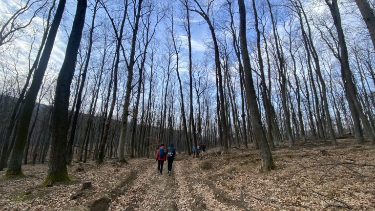 S turistickým krúžkom z Horných do Dolných Orešian. Po stopách najstaršieho keltského hradiska na Slovensku