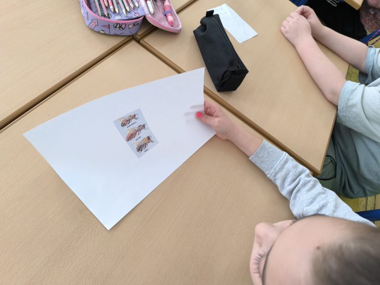 Beseda so včelárom v 2.A