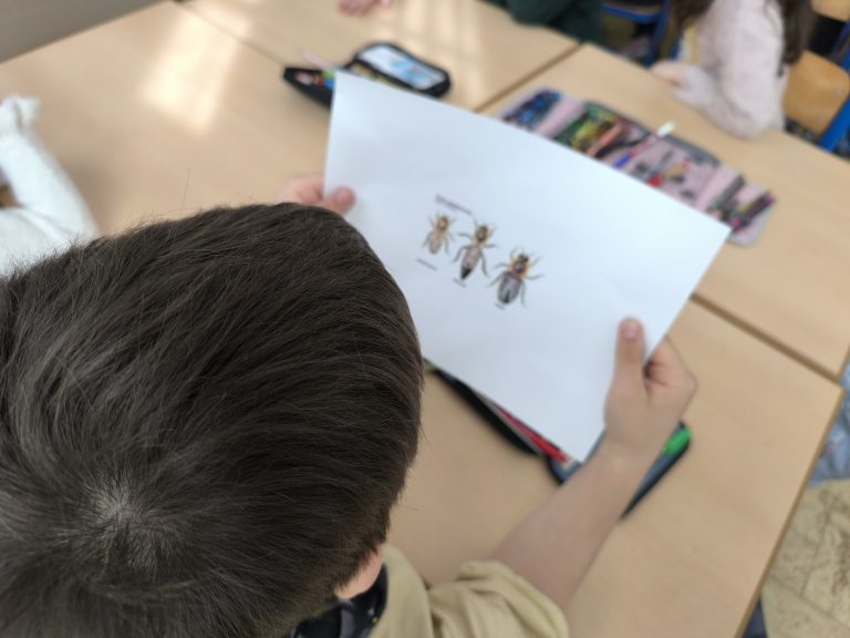 Beseda so včelárom v 2.A