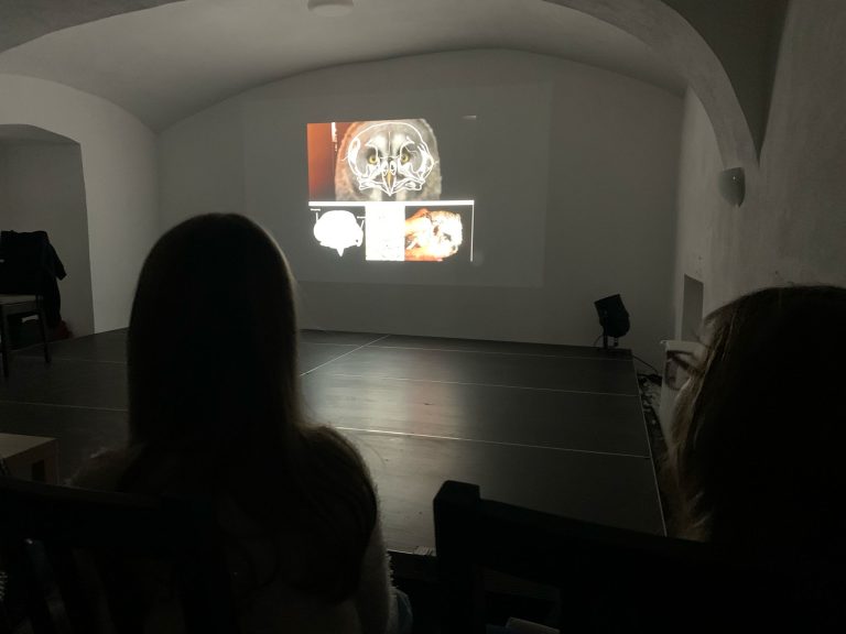 Svet zvukov – beseda so zoológom