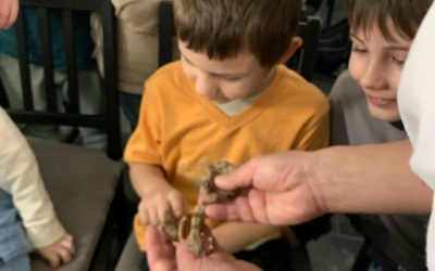 Svet zvukov – beseda so zoológom