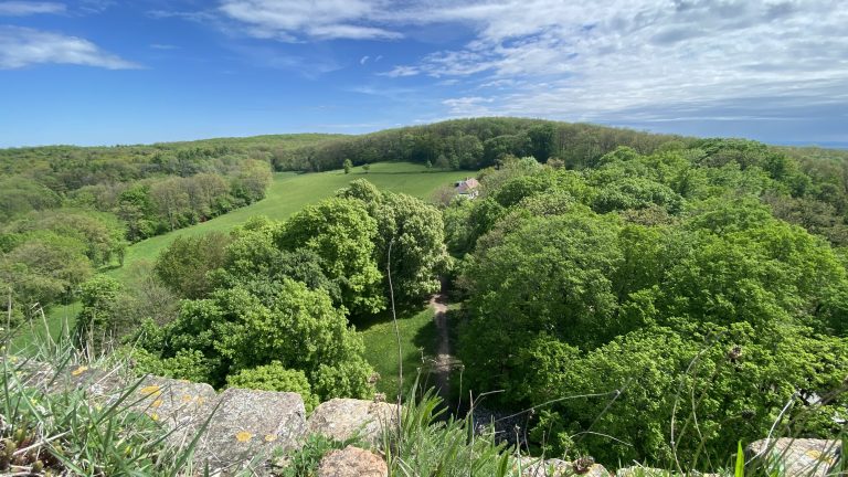 S turistickým krúžkom z Katarínky na Dobrovodský hrad