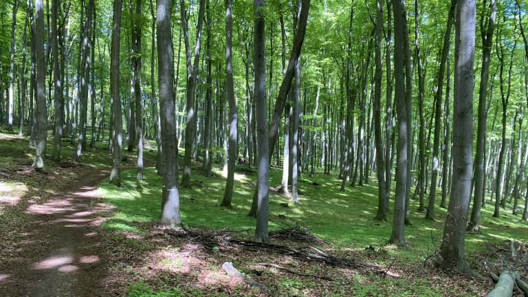 S turistickým krúžkom z Katarínky na Dobrovodský hrad