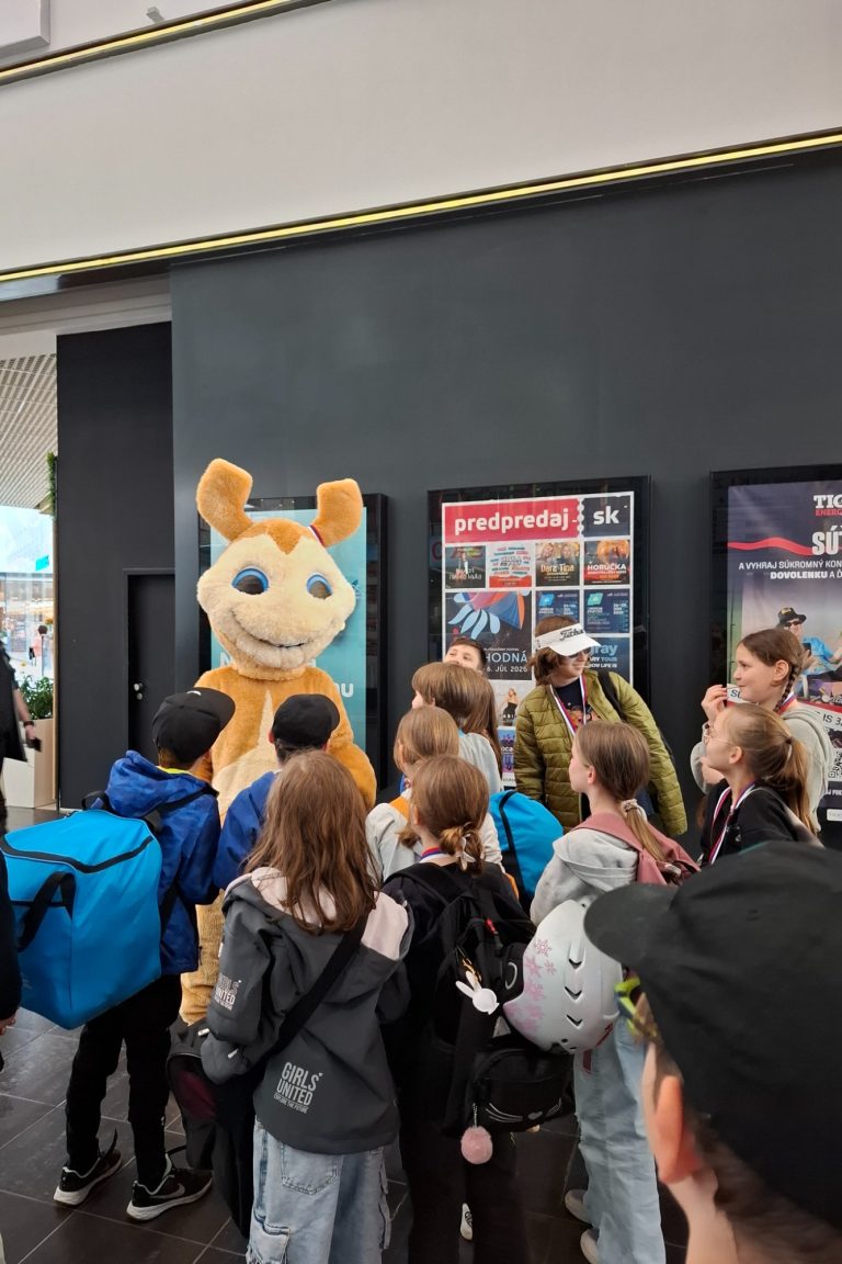 Korčuliarsky výcvik