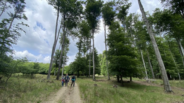S turistickým krúžkom na Limbašskej 50-ke