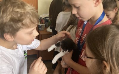 Výnimočné ranné kruhy