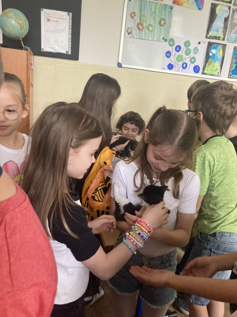 Výnimočné ranné kruhy