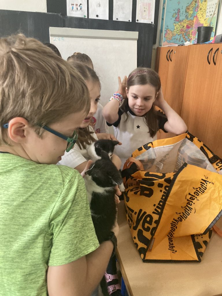 Výnimočné ranné kruhy