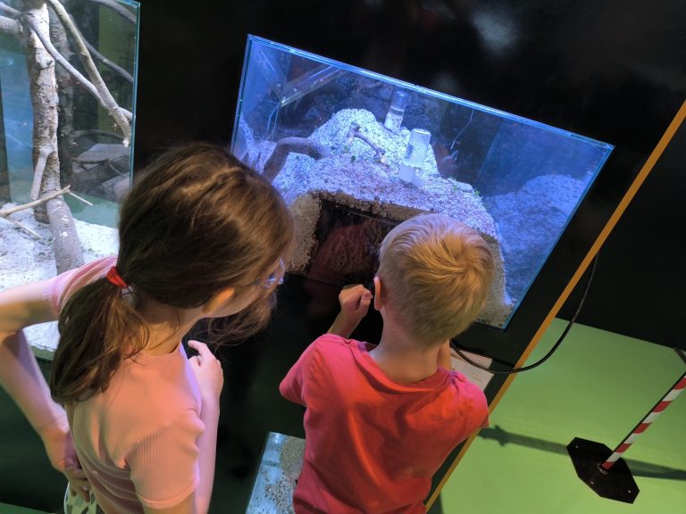 Výlet 2.A vo Vida! Science centre v Brne