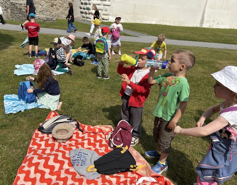 Piknik na Bratislavskom hrade