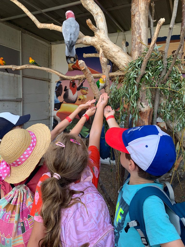 Koncoročný výlet prvákov do Ekoparku v Piešťanoch