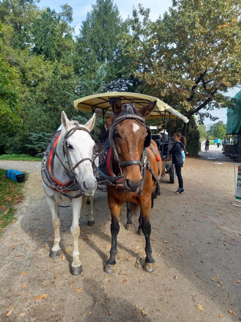 S turistickým krúžkom do Lednice na Morave