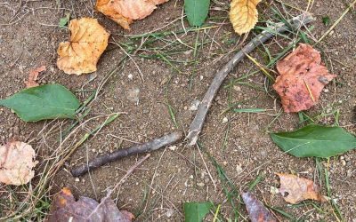 Jesenné učenie vonku