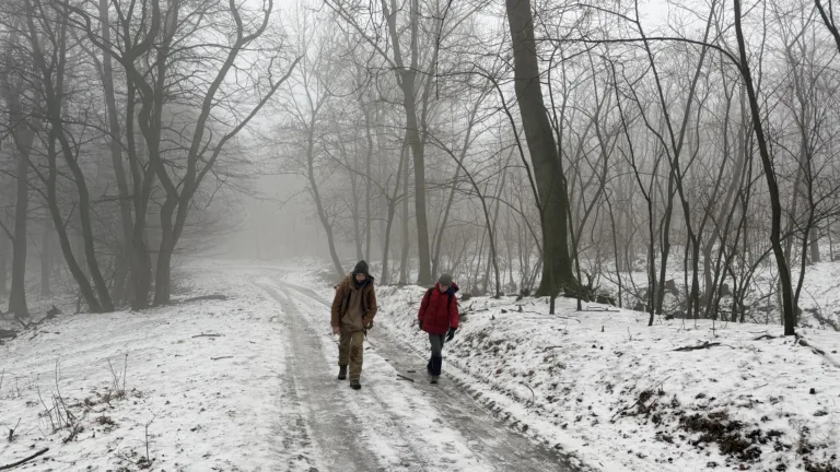 S turistickým krúžkom zo Záhorskej Bystrice cez Kačín na Vinohrady