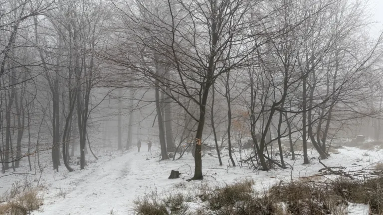 S turistickým krúžkom zo Záhorskej Bystrice cez Kačín na Vinohrady
