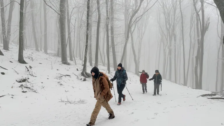 S turistickým krúžkom zo Záhorskej Bystrice cez Kačín na Vinohrady
