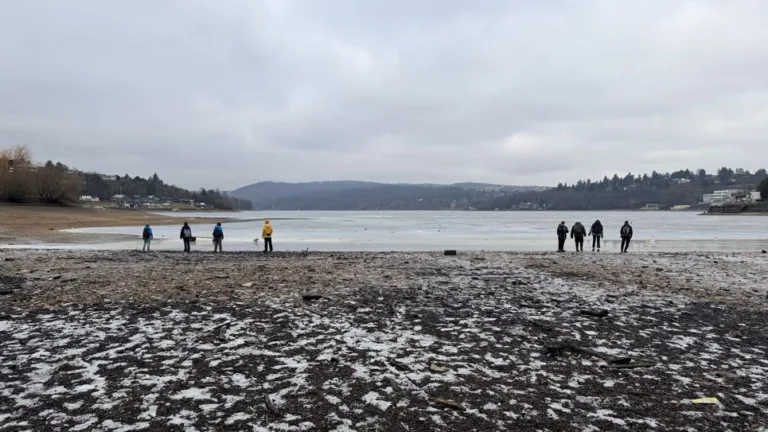 S turistickým krúžkom Brnom popri rieke Svratke do ZOO