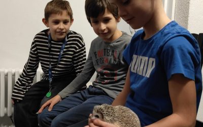 Cestovatelia v prírode