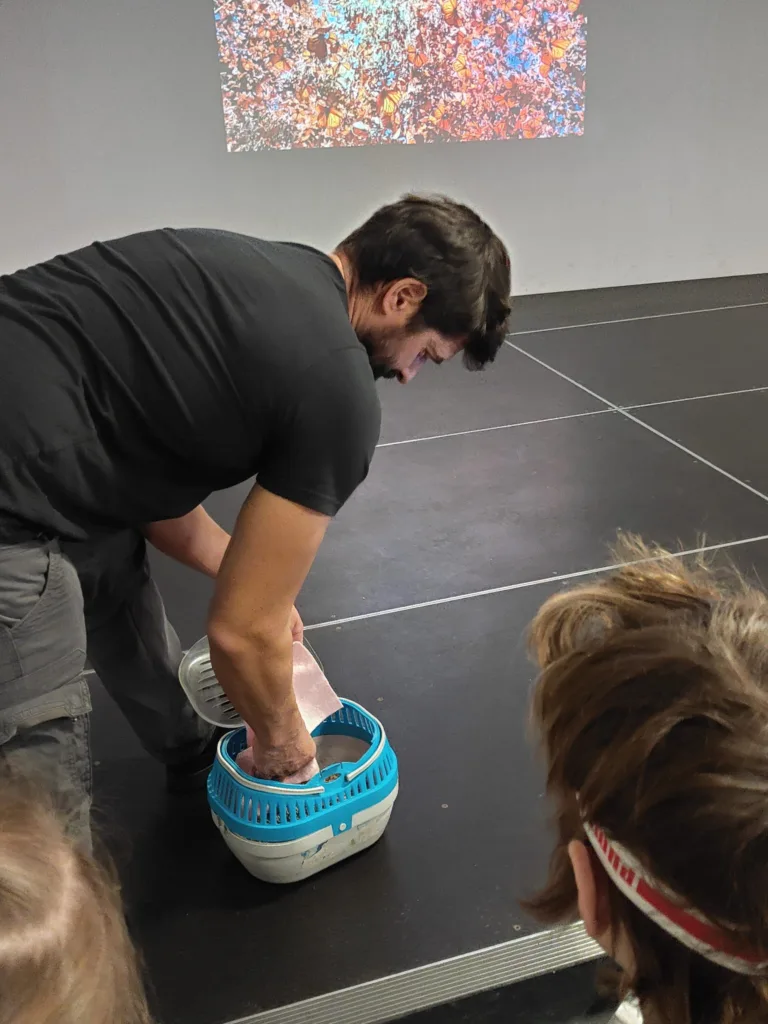 Cestovatelia v prírode