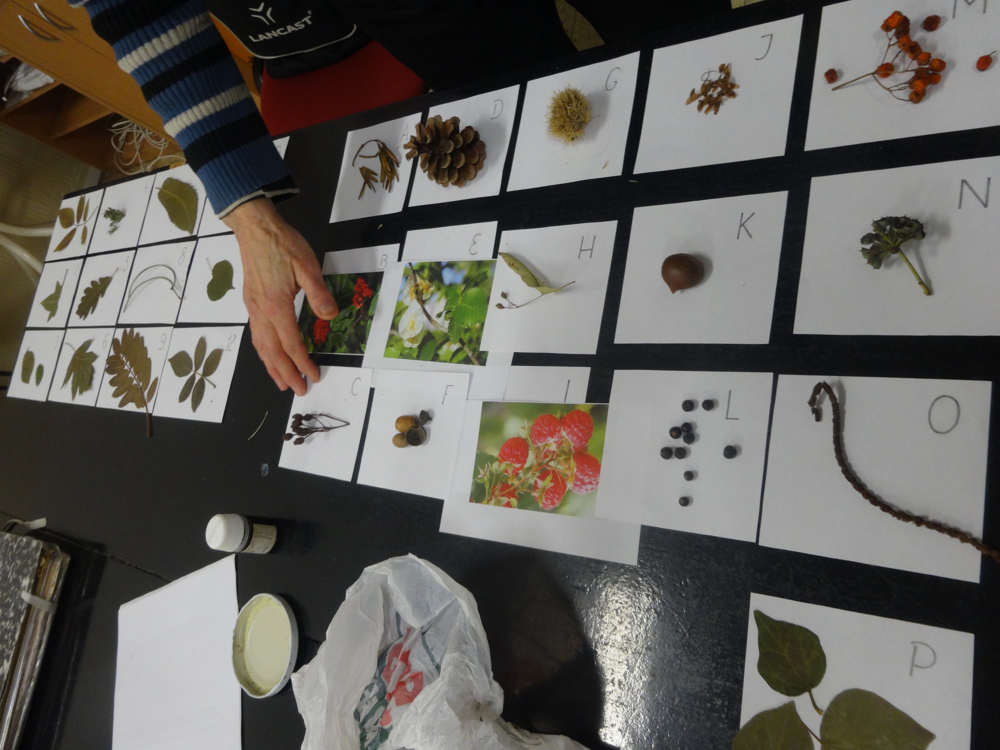 Biologická olympiáda kategória F