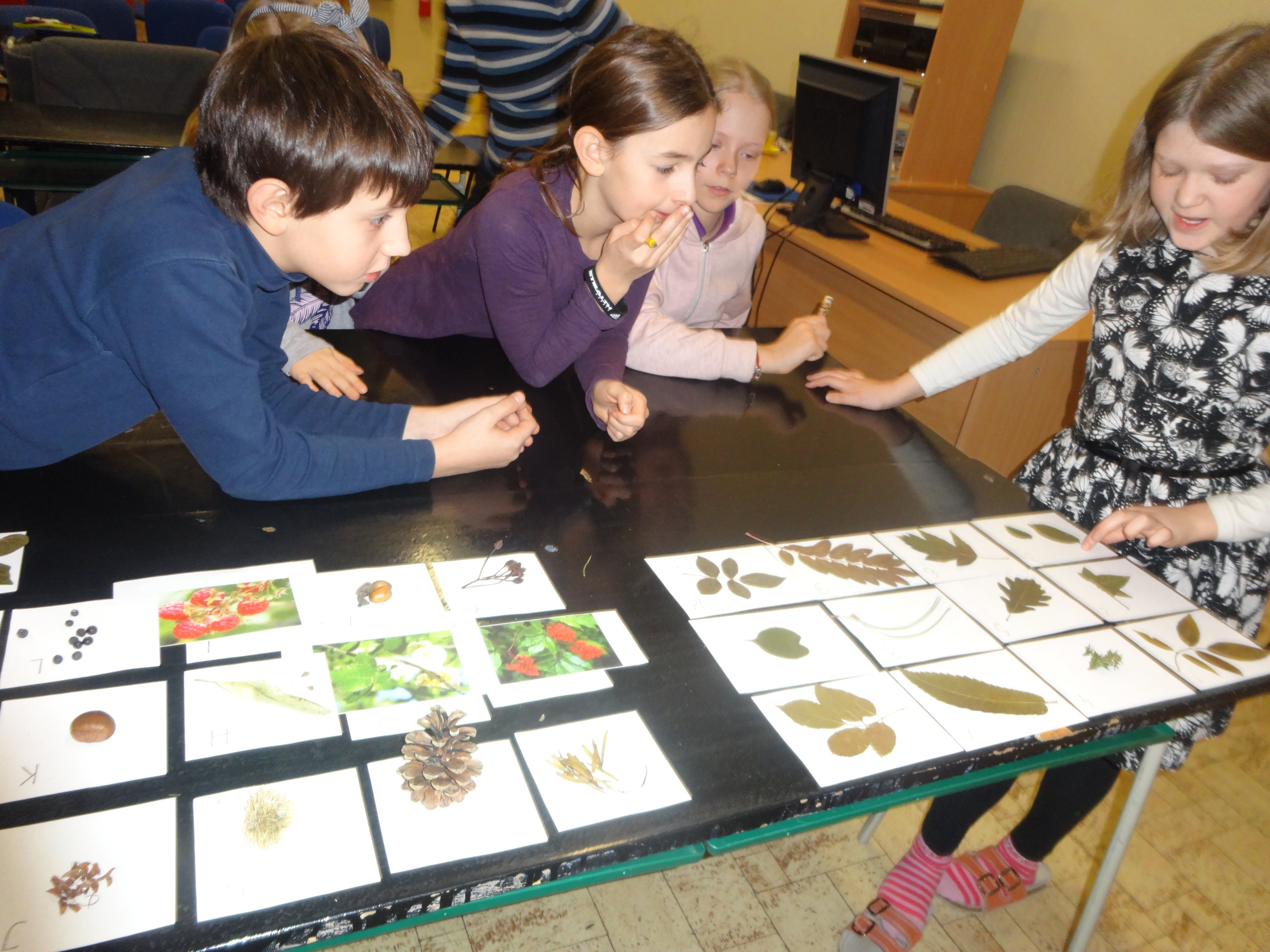 Biologická olympiáda kategória F